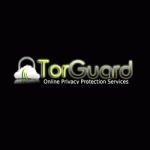 Torguard Review