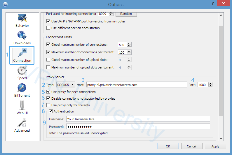 Cómo configurar correctamente QBitTorrent usando un proxy de calcetines