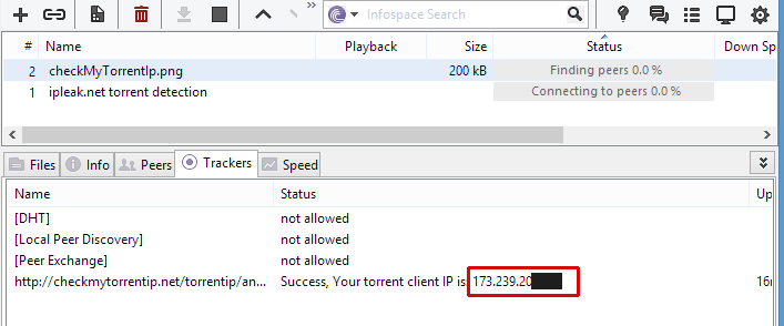 Public Torrent IP shown by tracker