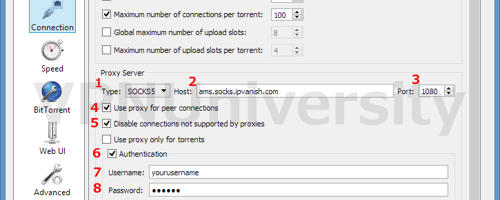 QBittorrent Proxy settings for IPVanish Socks5