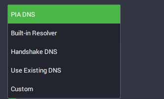 Select a custom DNS server in Private Internet Access